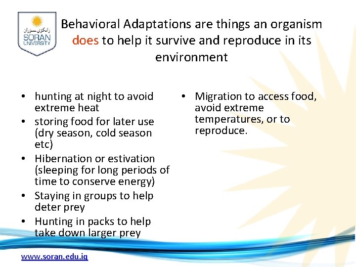 Behavioral Adaptations are things an organism does to help it survive and reproduce in Behavioral Adaptations are things an organism does to help it survive and reproduce in