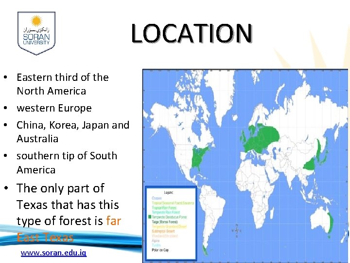LOCATION • Eastern third of the North America • western Europe • China, Korea, LOCATION • Eastern third of the North America • western Europe • China, Korea,