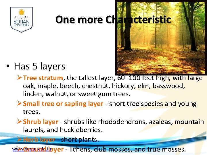 One more Characteristic • Has 5 layers Ø Tree stratum, the tallest layer, 60 One more Characteristic • Has 5 layers Ø Tree stratum, the tallest layer, 60