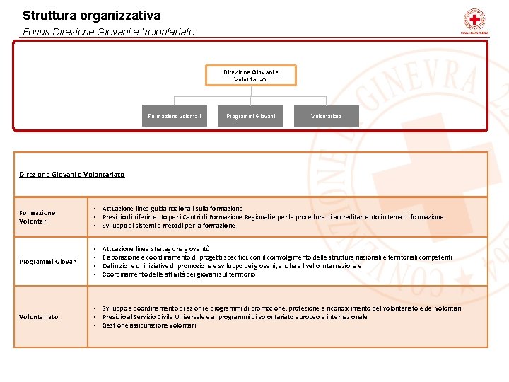 Struttura organizzativa Focus Direzione Giovani e Volontariato Formazione volontari Programmi Giovani Volontariato Direzione Giovani