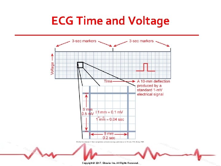 ECG Time and Voltage Copyright © 2017, Elsevier Inc. All Rights Reserved. 