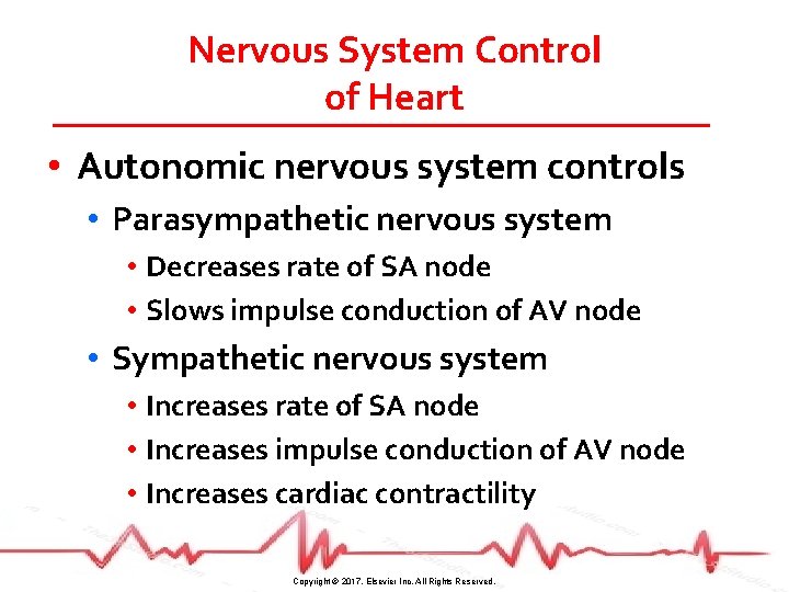 Nervous System Control of Heart • Autonomic nervous system controls • Parasympathetic nervous system