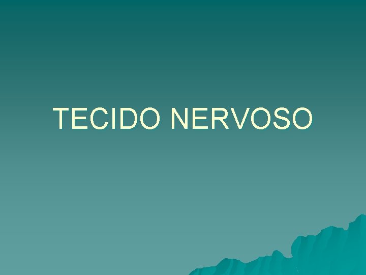 TECIDO NERVOSO 