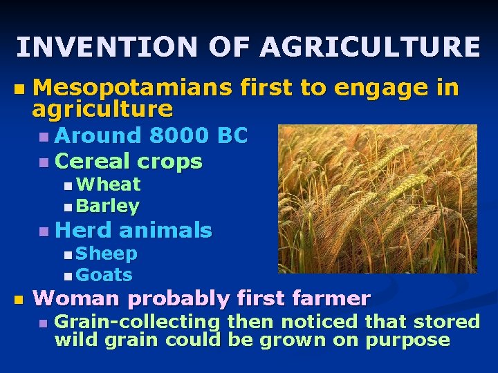 INVENTION OF AGRICULTURE n Mesopotamians first to engage in agriculture n Around 8000 BC