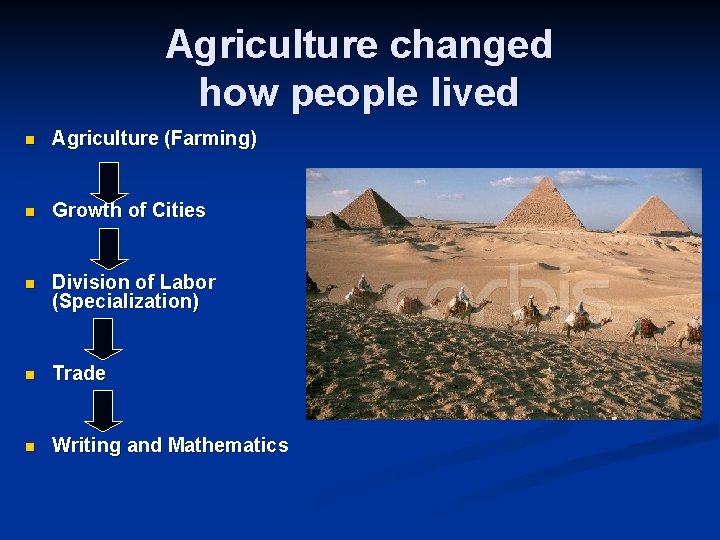 Agriculture changed how people lived n Agriculture (Farming) n Growth of Cities n Division