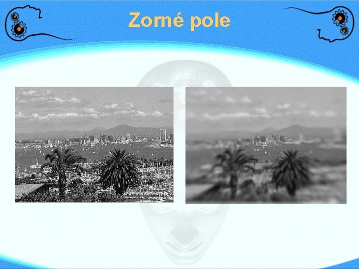 Zorné pole 