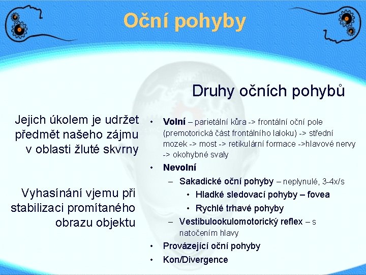 Oční pohyby Druhy očních pohybů Jejich úkolem je udržet předmět našeho zájmu v oblasti