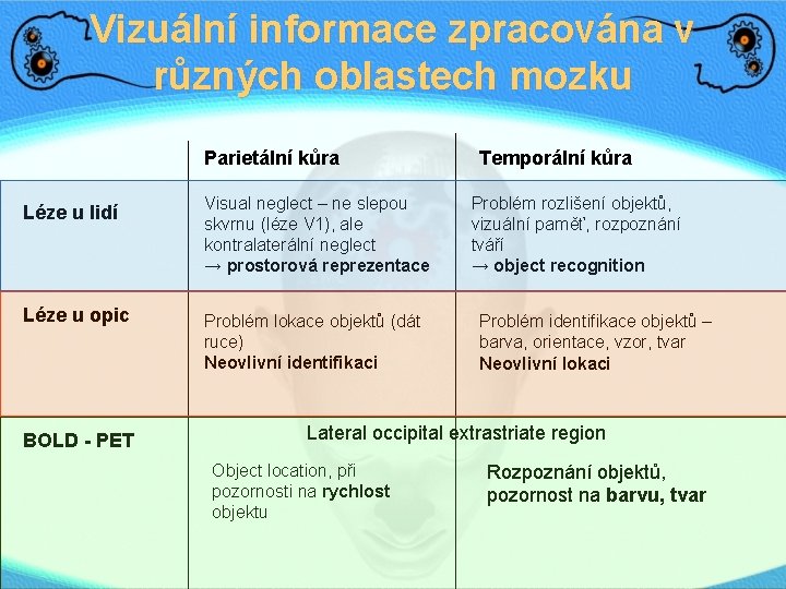 Vizuální informace zpracována v různých oblastech mozku Parietální kůra Léze u lidí Visual neglect