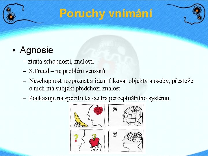 Poruchy vnímání • Agnosie = ztráta schopnosti, znalosti – S. Freud – ne problém