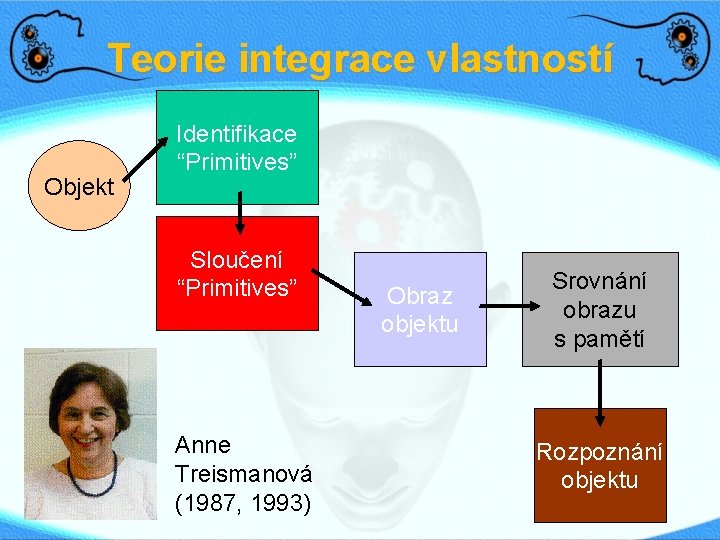 Teorie integrace vlastností Objekt Identifikace “Primitives” Sloučení “Primitives” Anne Treismanová (1987, 1993) Obraz objektu