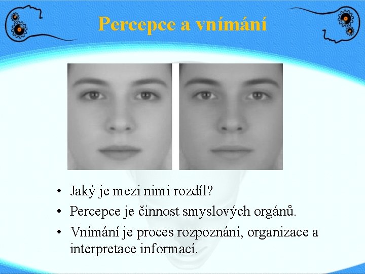 Percepce a vnímání • Jaký je mezi nimi rozdíl? • Percepce je činnost smyslových