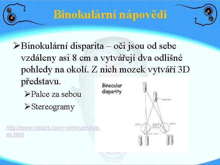 Binokulární nápovědi Binokulární disparita – oči jsou od sebe vzdáleny asi 8 cm a