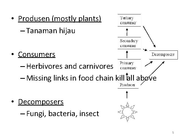  • Produsen (mostly plants) – Tanaman hijau • Consumers – Herbivores and carnivores