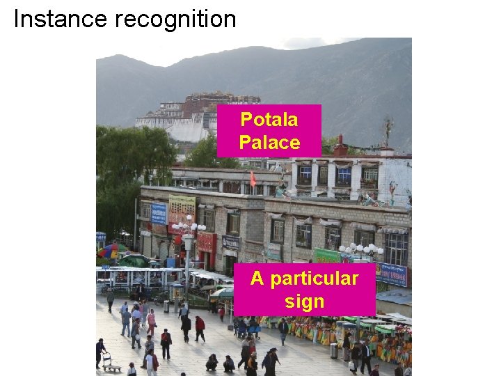 Instance recognition Potala Palace A particular sign 