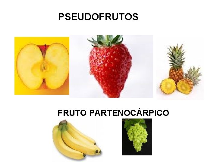PSEUDOFRUTOS FRUTO PARTENOCÁRPICO PSEUDOFRUTOS FRUTO PARTENOCÁRPICO