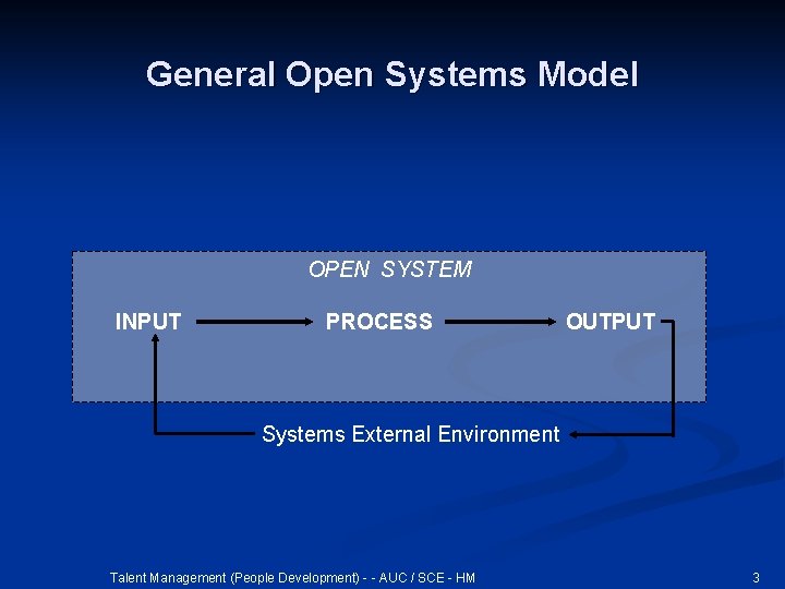 General Open Systems Model OPEN SYSTEM INPUT PROCESS OUTPUT Systems External Environment Talent Management