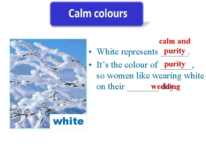 calm and purity • White represents ______. purity • It’s the colour of _______,