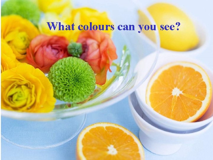 What colours can you see? 