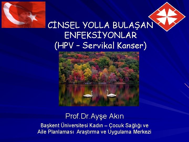 CİNSEL YOLLA BULAŞAN ENFEKSİYONLAR (HPV – Servikal Kanser) Prof. Dr. Ayşe Akın Başkent Üniversitesi