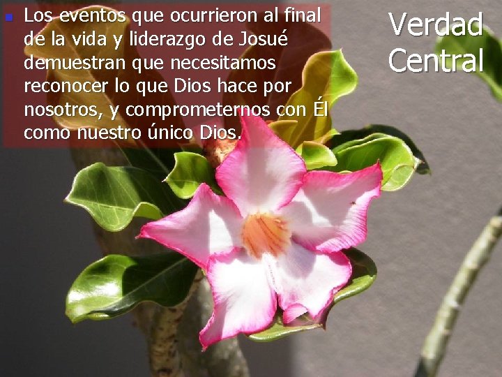 n Los eventos que ocurrieron al final de la vida y liderazgo de Josué