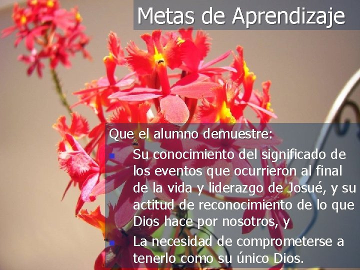 Metas de Aprendizaje Que el alumno demuestre: n Su conocimiento del significado de los
