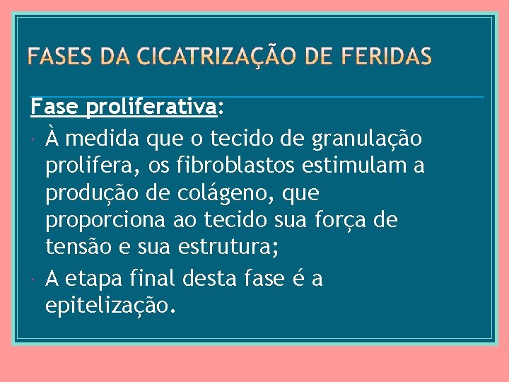 Fase proliferativa: À medida que o tecido de granulação prolifera, os fibroblastos estimulam a