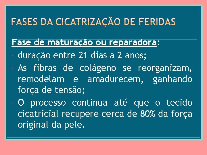 Fase de maturação ou reparadora: duração entre 21 dias a 2 anos; As fibras