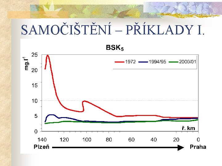 SAMOČIŠTĚNÍ – PŘÍKLADY I. 