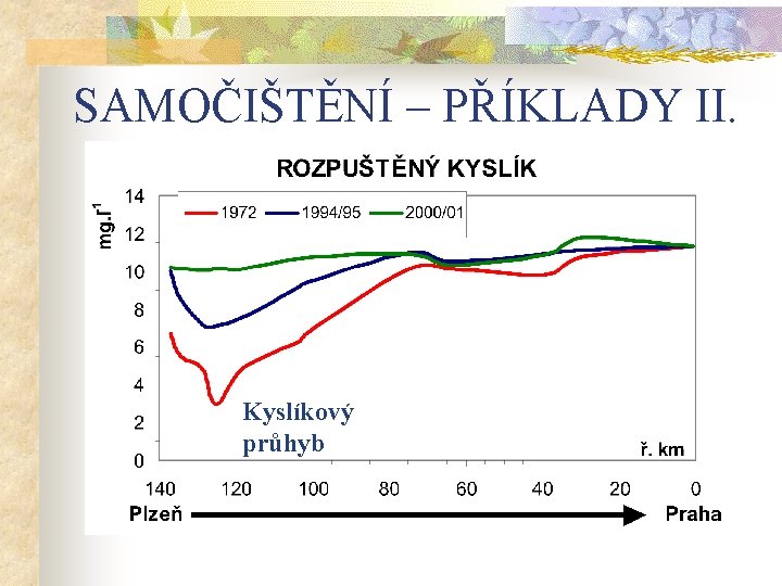 SAMOČIŠTĚNÍ – PŘÍKLADY II. Kyslíkový průhyb 