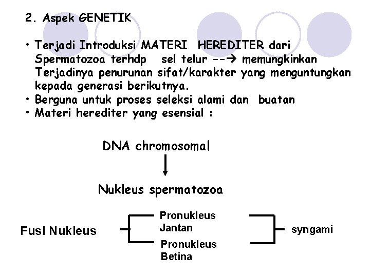 2. Aspek GENETIK • Terjadi Introduksi MATERI HEREDITER dari Spermatozoa terhdp sel telur --