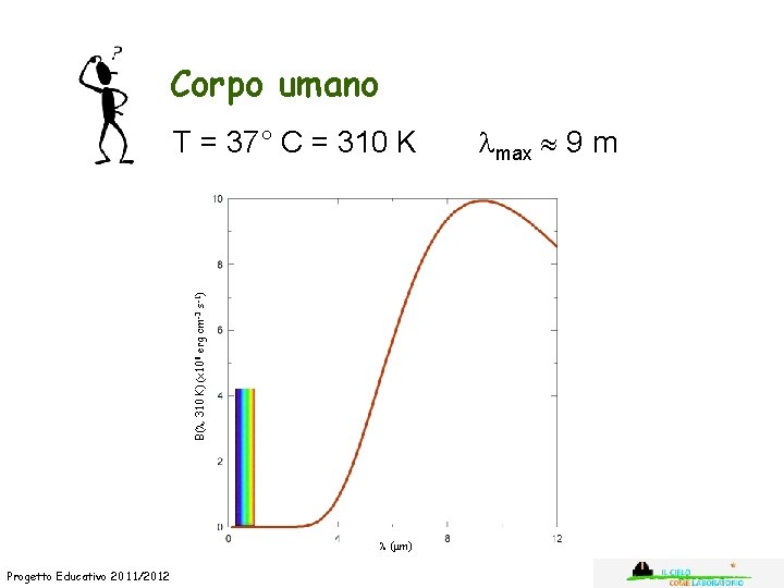 Corpo umano B( , 310 K) (x 108 erg cm-3 s-1) T = 37°