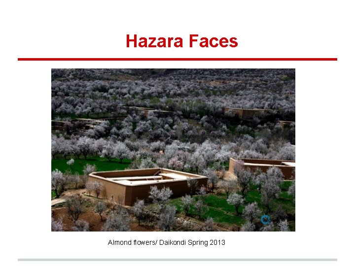 Hazara Faces Almond flowers/ Daikondi Spring 2013 