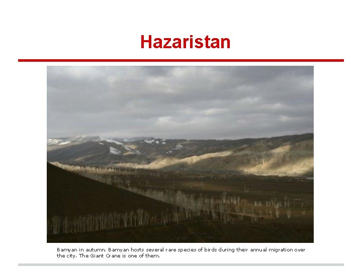 Hazaristan Bamyan in autumn. Bamyan hosts several rare species of birds during their annual