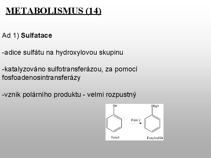 METABOLISMUS (14) Ad 1) Sulfatace -adice sulfátu na hydroxylovou skupinu -katalyzováno sulfotransferázou, za pomocí