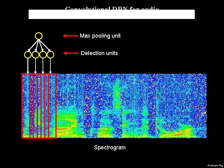 Convolutional DBN for audio Max pooling unit Detection units Spectrogram Andrew Ng 