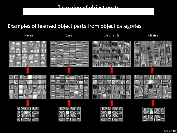 Learning of object parts Examples of learned object parts from object categories Faces Cars