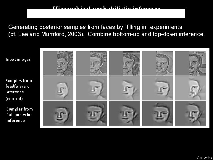 Hierarchical probabilistic inference Generating posterior samples from faces by “filling in” experiments (cf. Lee