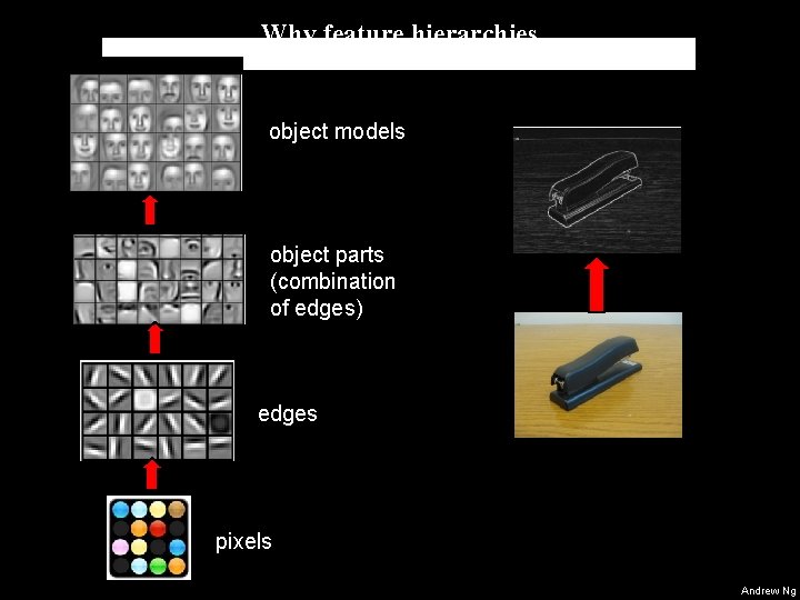 Why feature hierarchies object models object parts (combination of edges) edges pixels Andrew Ng