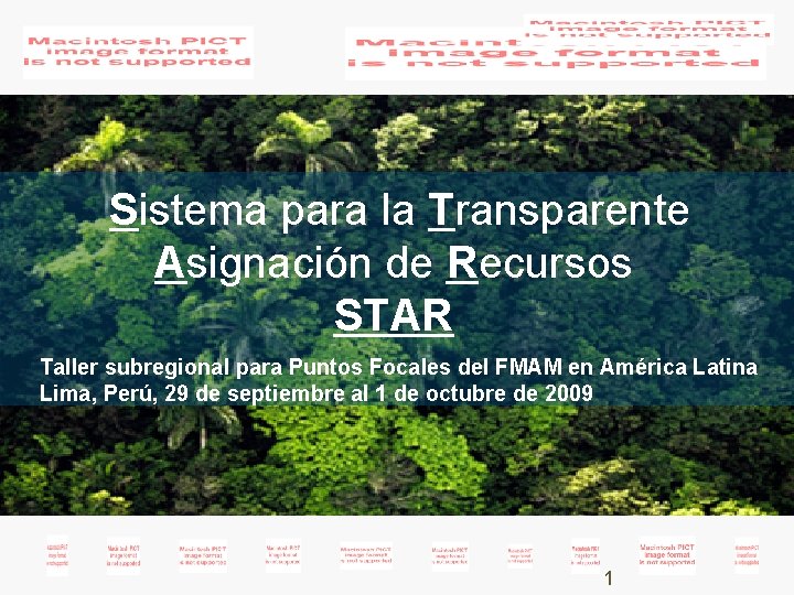  Sistema para la Transparente Asignación de Recursos STAR Taller subregional para Puntos Focales