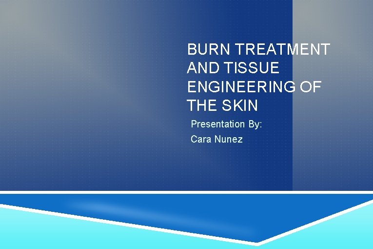 BURN TREATMENT AND TISSUE ENGINEERING OF THE SKIN Presentation By: Cara Nunez 