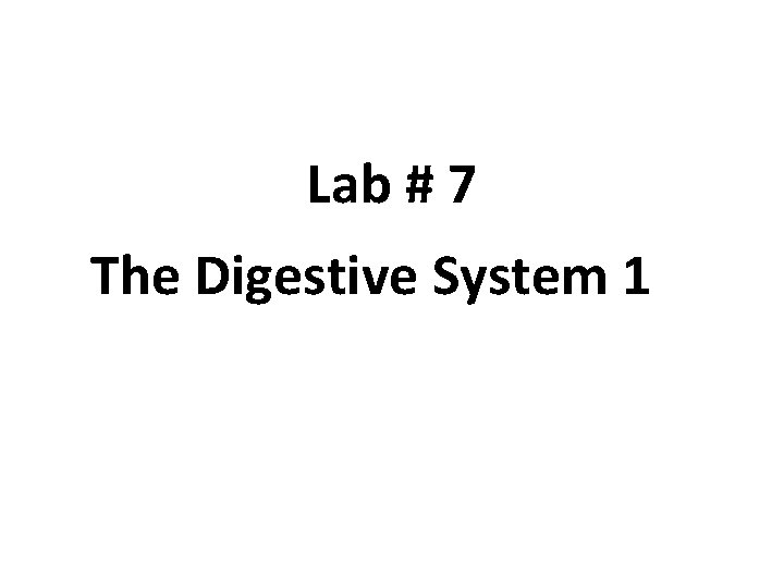 Lab # 7 The Digestive System 1 