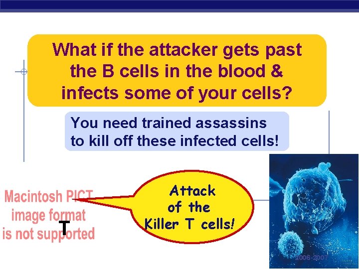 What if the attacker gets past the B cells in the blood & infects