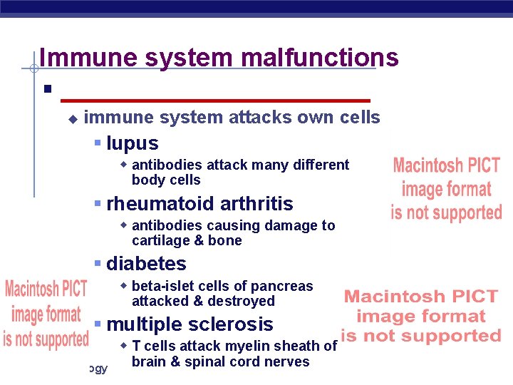 Immune system malfunctions § _____________ u immune system attacks own cells § lupus w