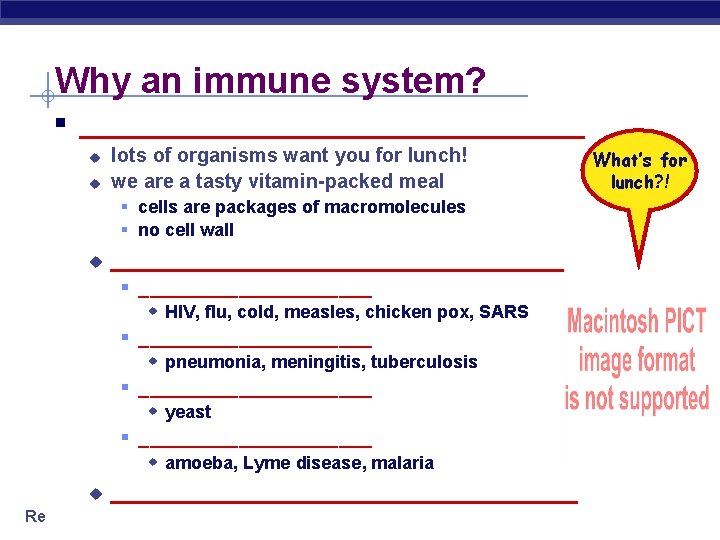 Why an immune system? § __________________ u u lots of organisms want you for