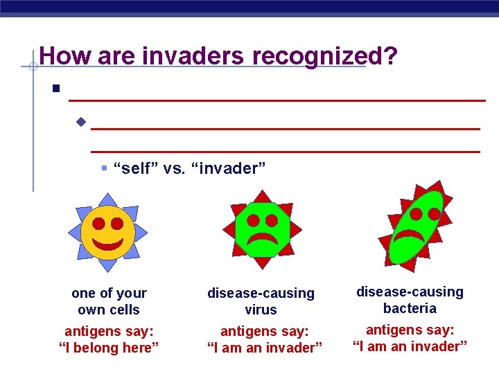 How are invaders recognized? § __________________ u ____________________________________ § “self” vs. “invader” one of