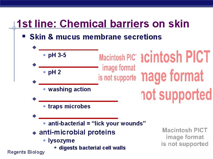 1 st line: Chemical barriers on skin § Skin & mucus membrane secretions u