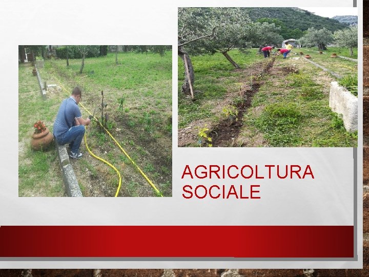 AGRICOLTURA SOCIALE 