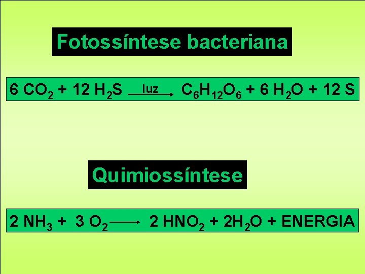 Fotossíntese bacteriana 6 CO 2 + 12 H 2 S luz C 6 H