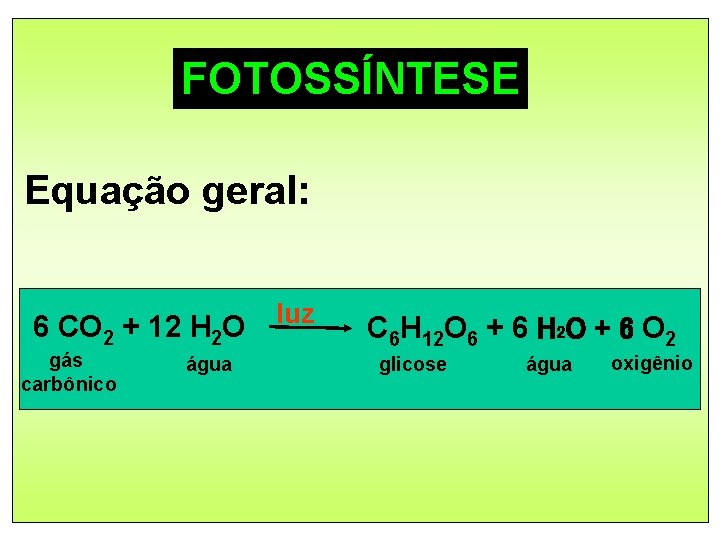 FOTOSSÍNTESE Equação geral: 6 CO 2 + 12 H 2 O gás carbônico água