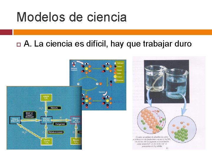 Modelos de ciencia A. La ciencia es difícil, hay que trabajar duro 